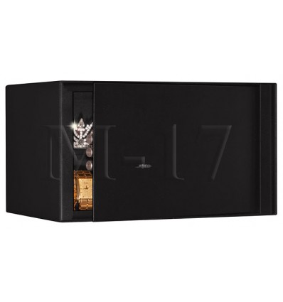 Мебельный и пистолетный сейф AGATE М-17