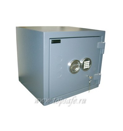 Сейф Format Gemini Pro 1 EI