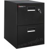 Сейф картотечный Sentry 2B2100